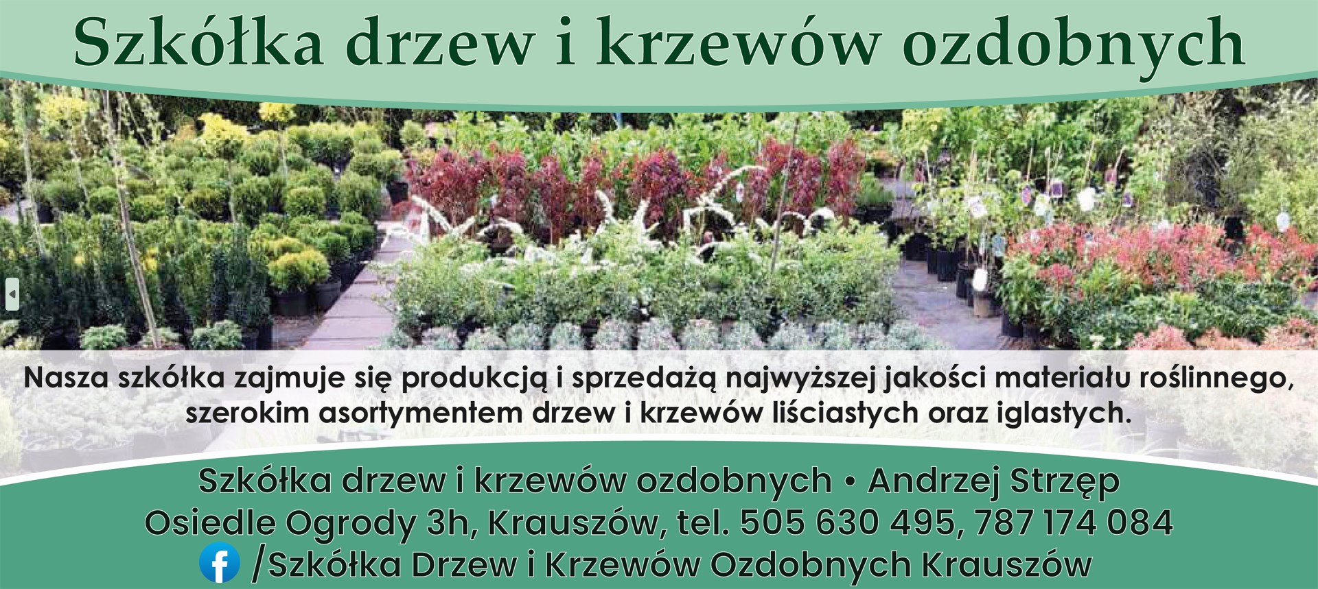 szkółka drzew NOWY TARG